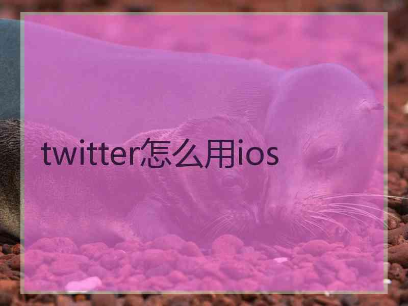 twitter怎么用ios