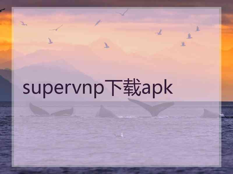 supervnp下载apk