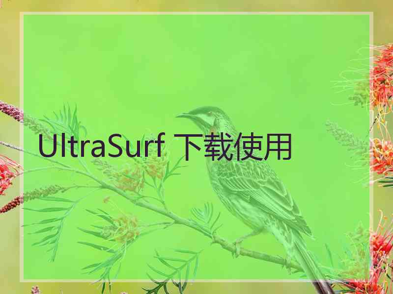 UltraSurf 下载使用