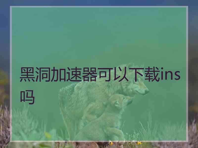 黑洞加速器可以下载ins吗