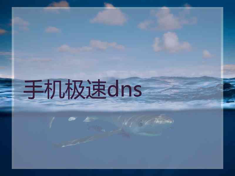 手机极速dns