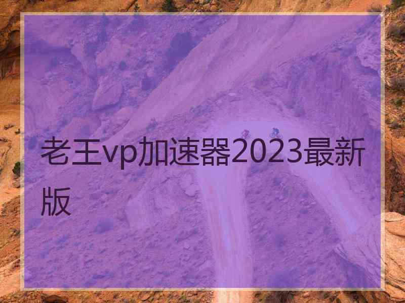 老王vp加速器2023最新版