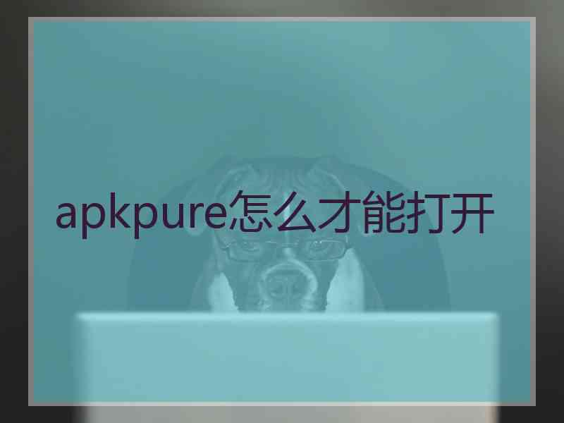 apkpure怎么才能打开