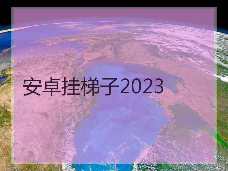 安卓挂梯子2023