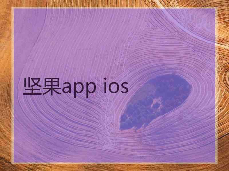 坚果app ios