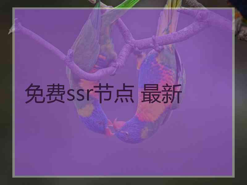 免费ssr节点 最新