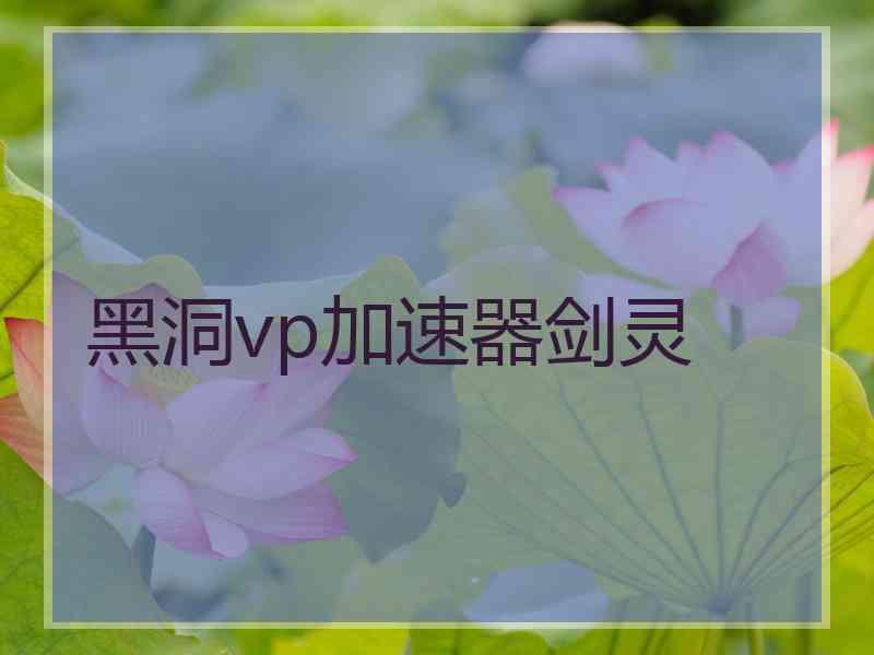 黑洞vp加速器剑灵