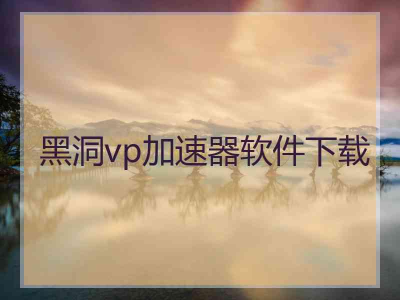 黑洞vp加速器软件下载