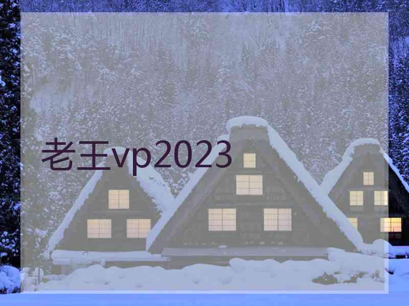 老王vp2023