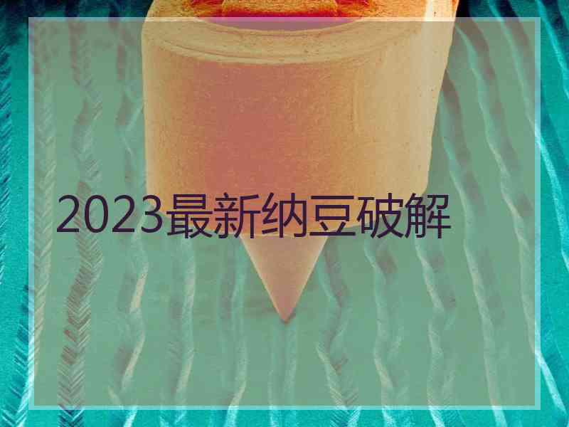 2023最新纳豆破解