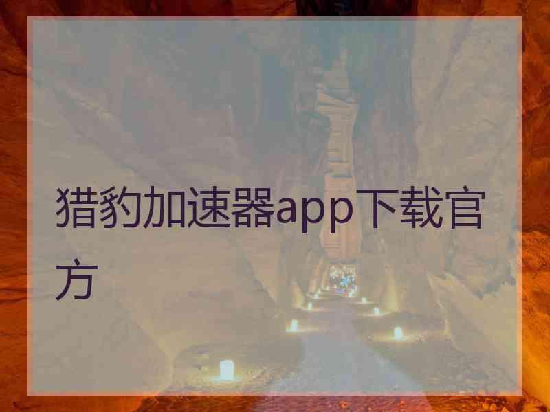 猎豹加速器app下载官方